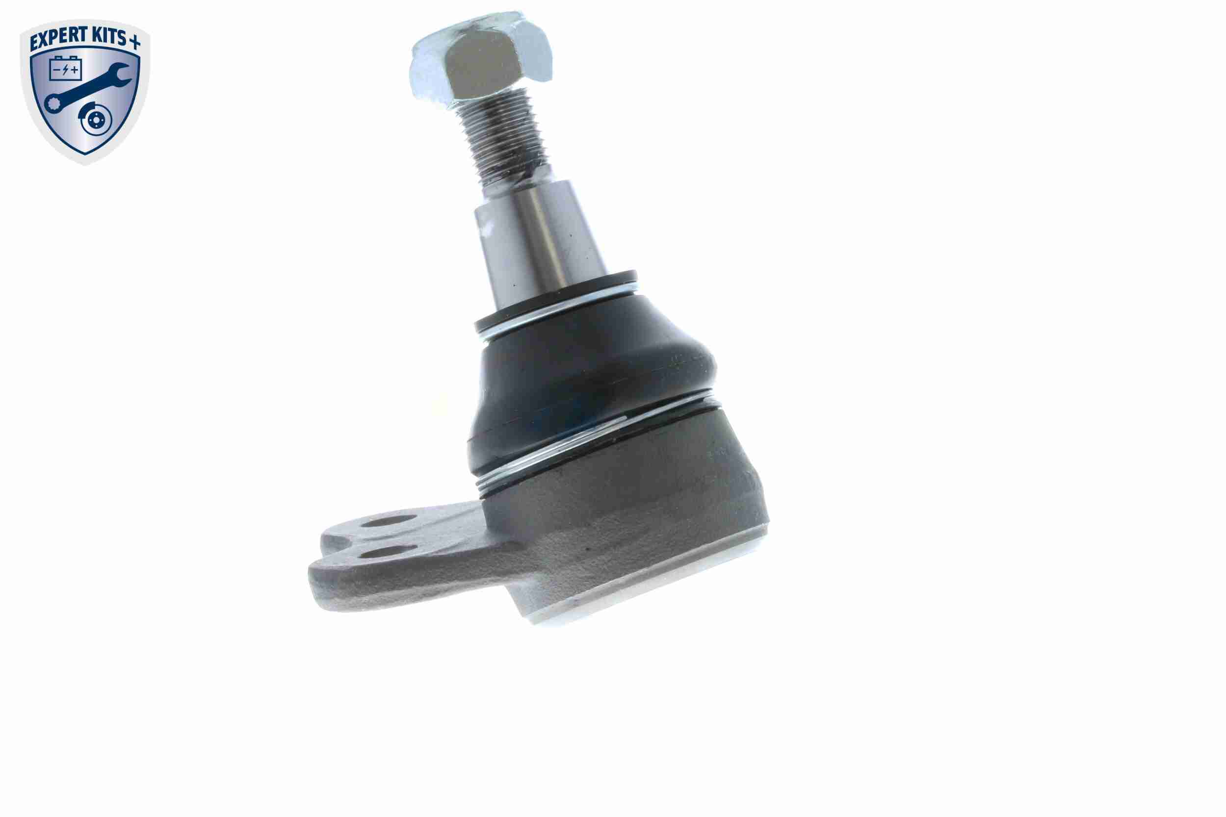 Splash Panel, brake disc - V20-2795 VAICO