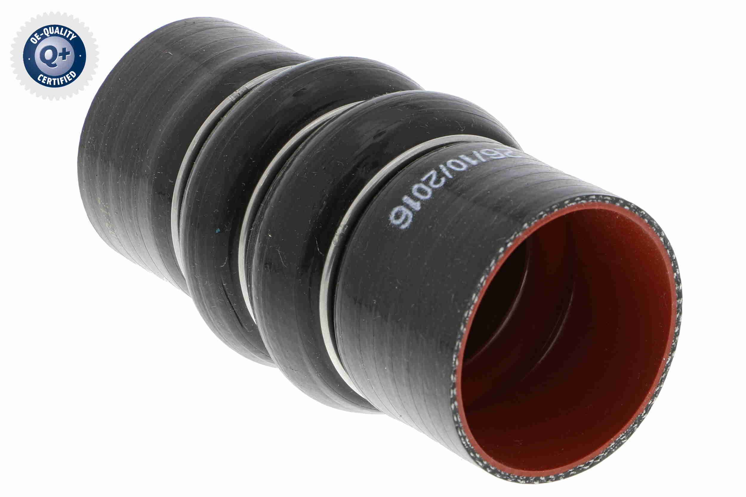 Clip - V20-0851 VAICO