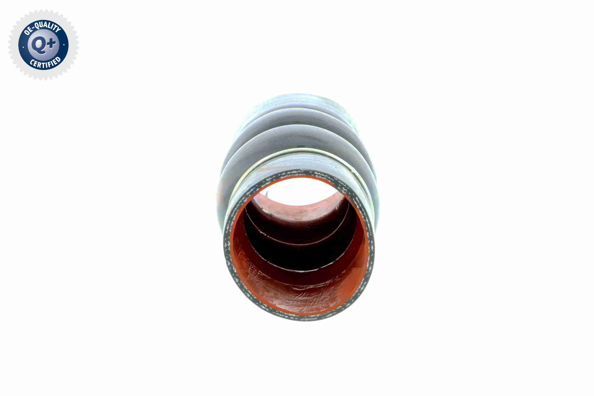 Clip - V20-0851 VAICO