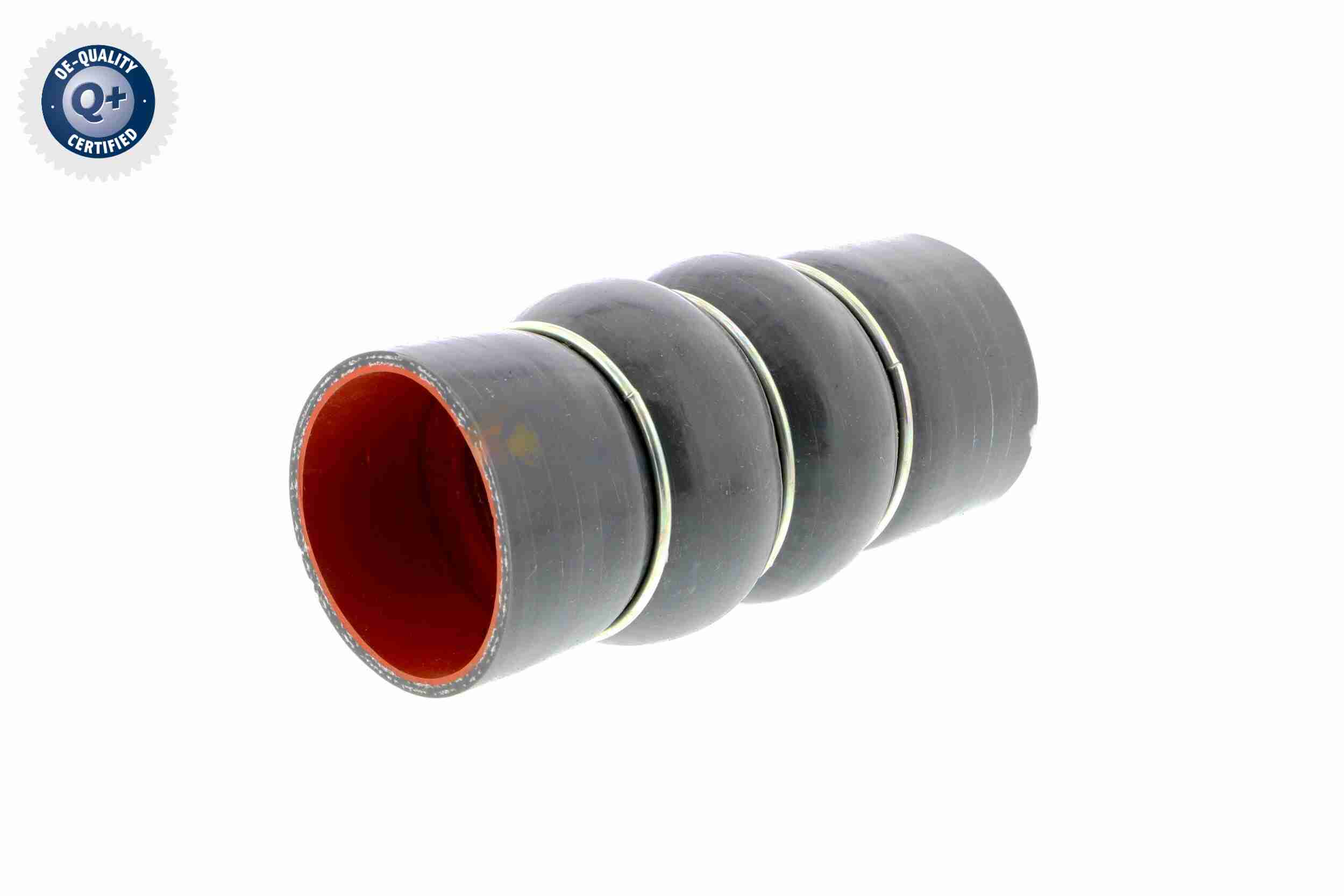 Clip - V20-0851 VAICO