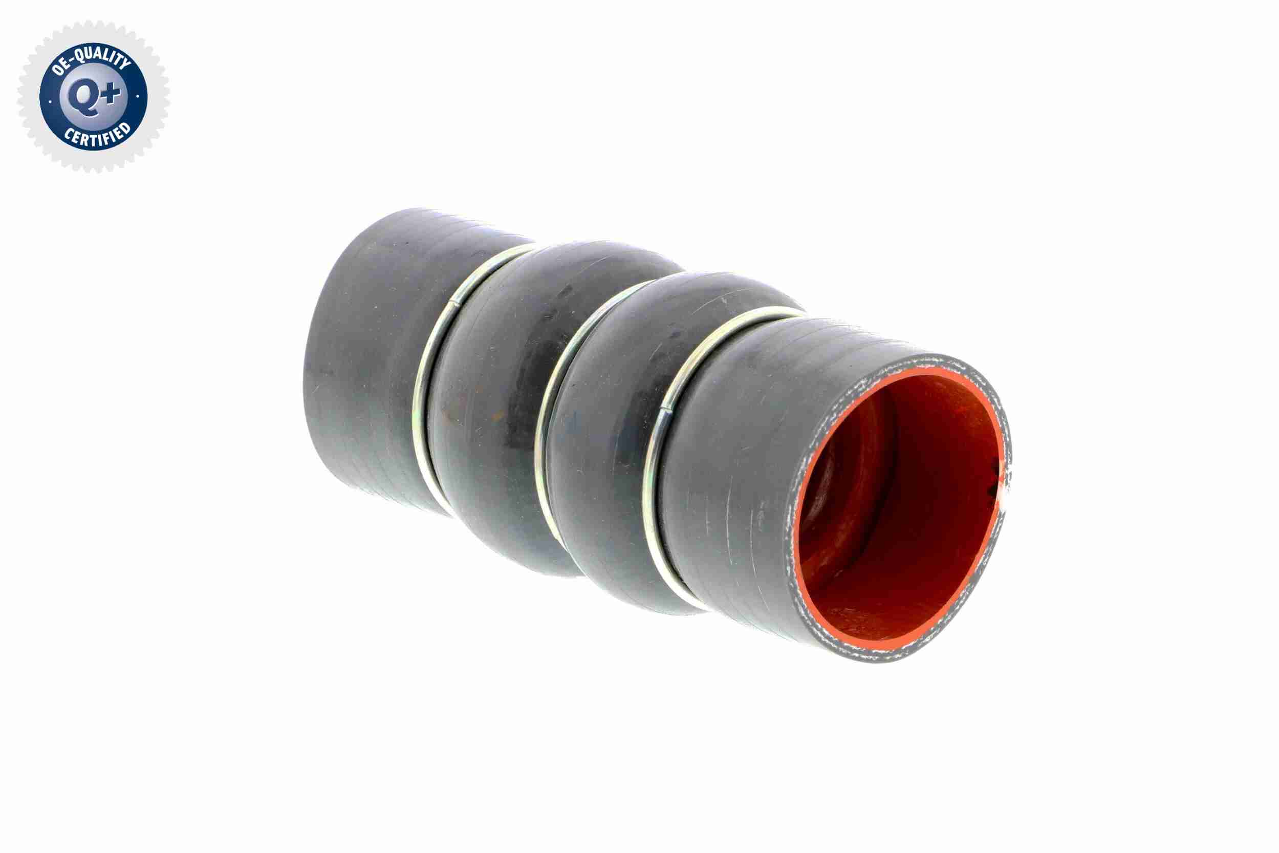 Clip - V20-0851 VAICO