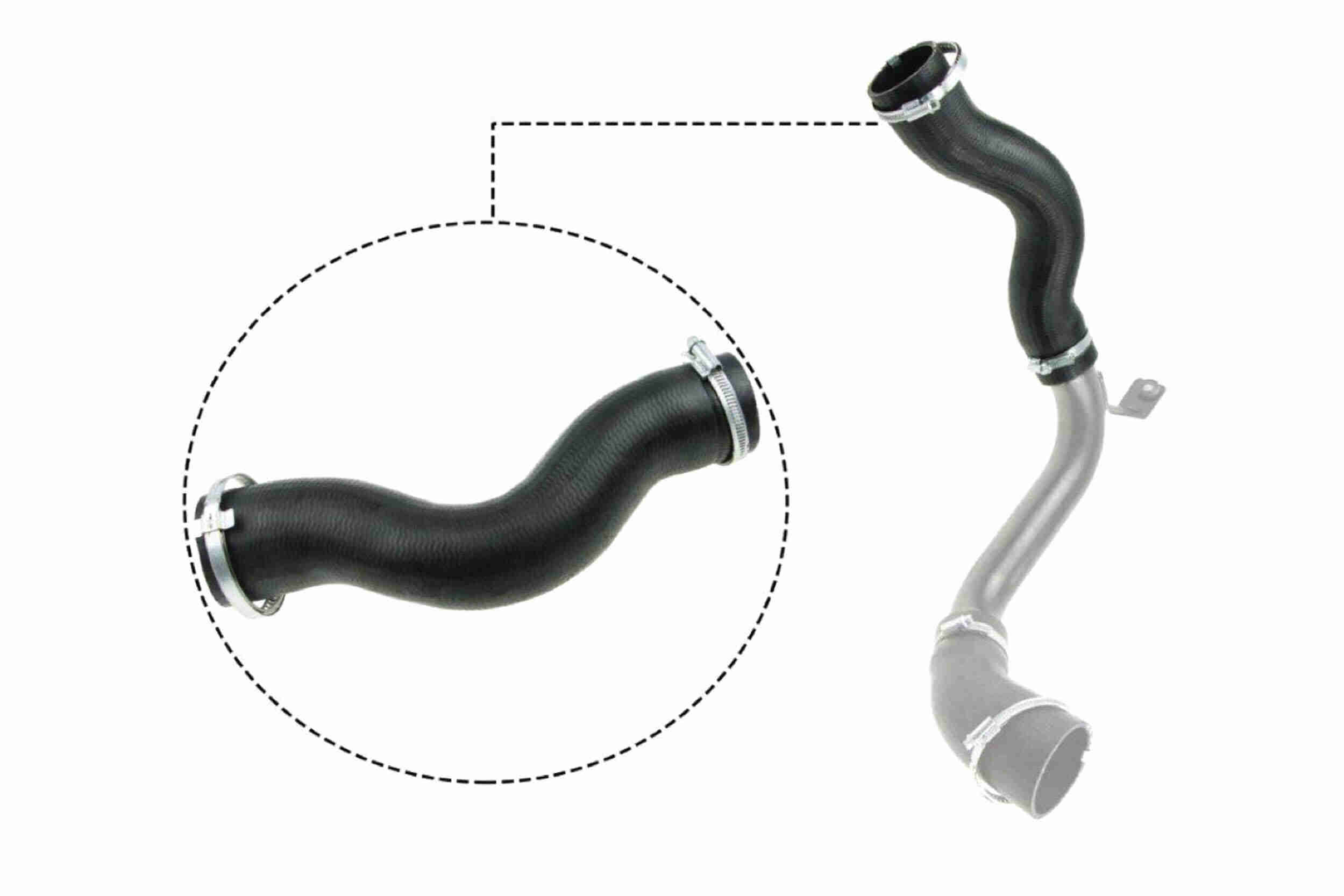 Charger Air Hose - V25-1030 VAICO