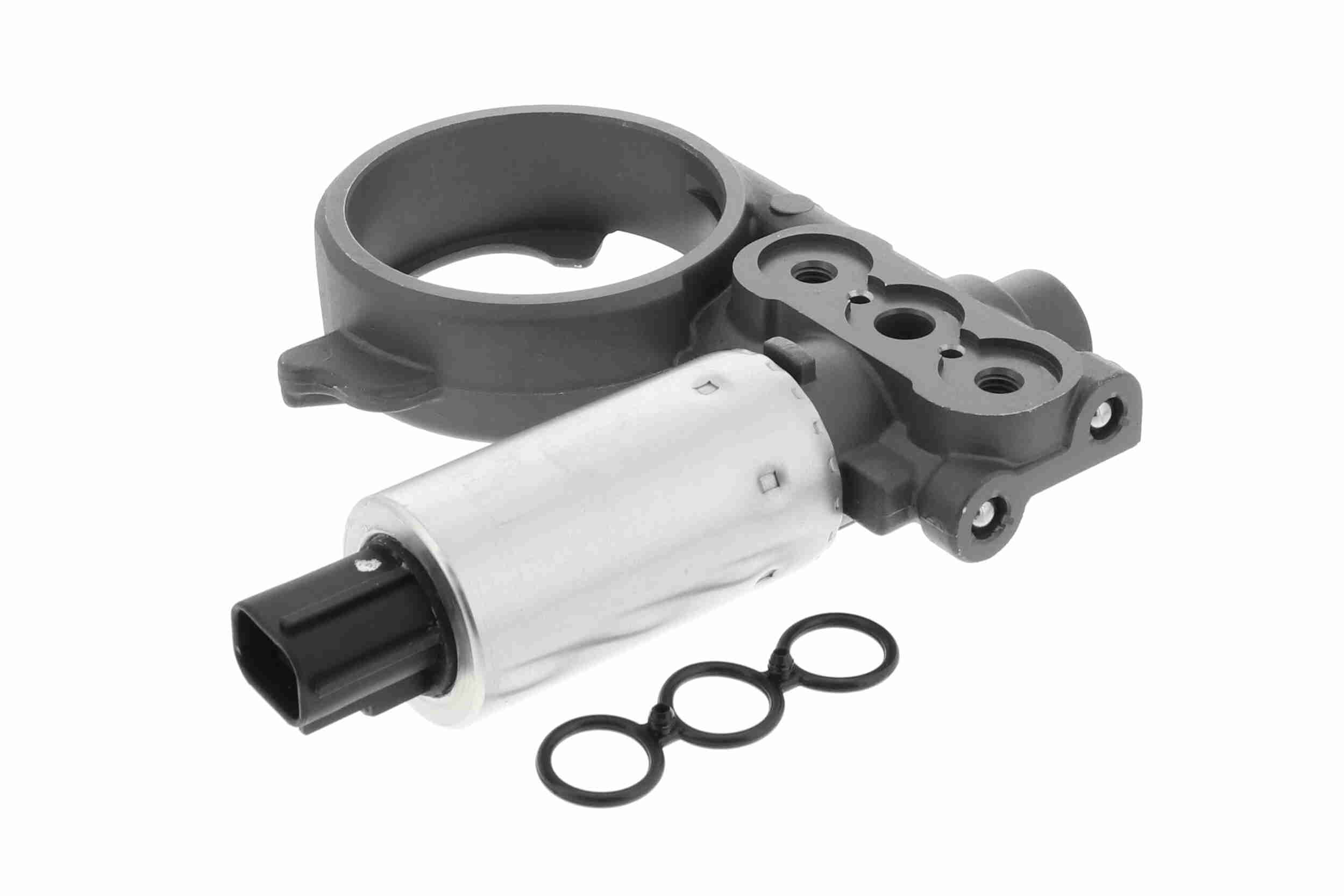 Cover, timing belt - V10-4425 VAICO
