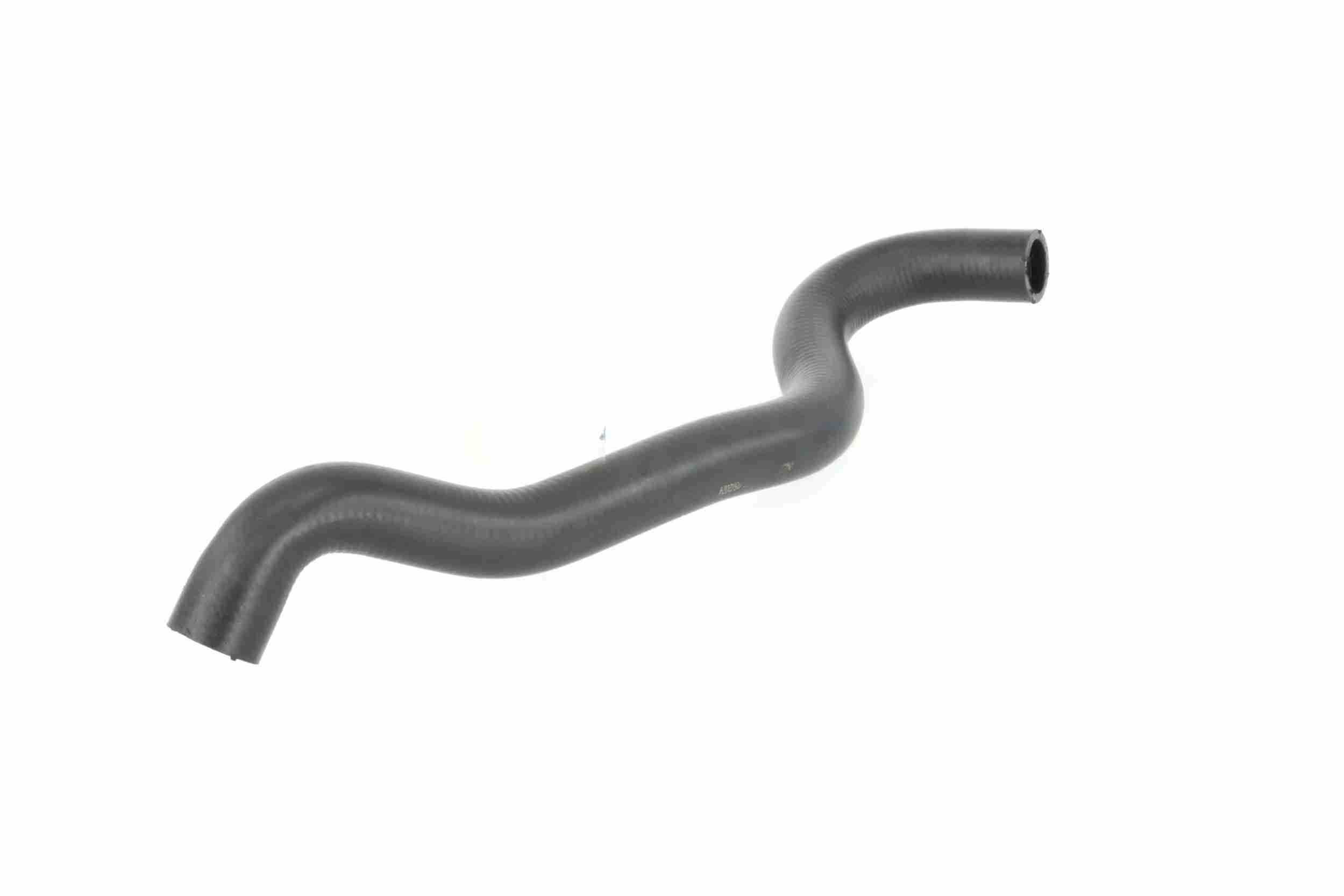 Clamp, silencer - V24-0378 VAICO