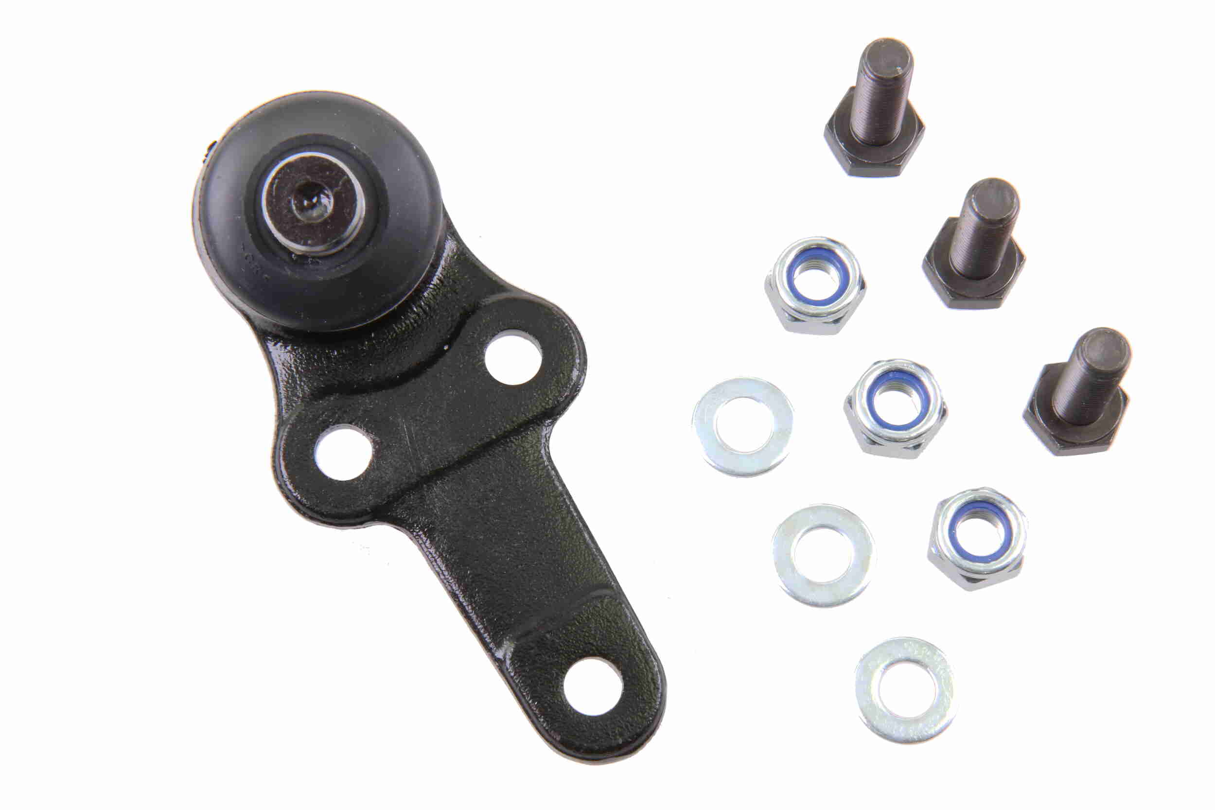Cover, timing belt - V46-1083 VAICO