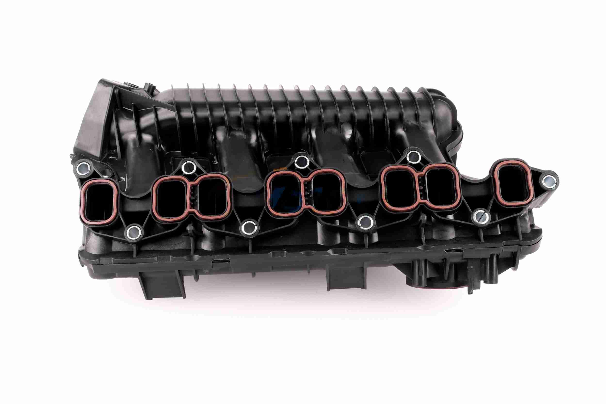 Engine Mounting - V10-1631 VAICO