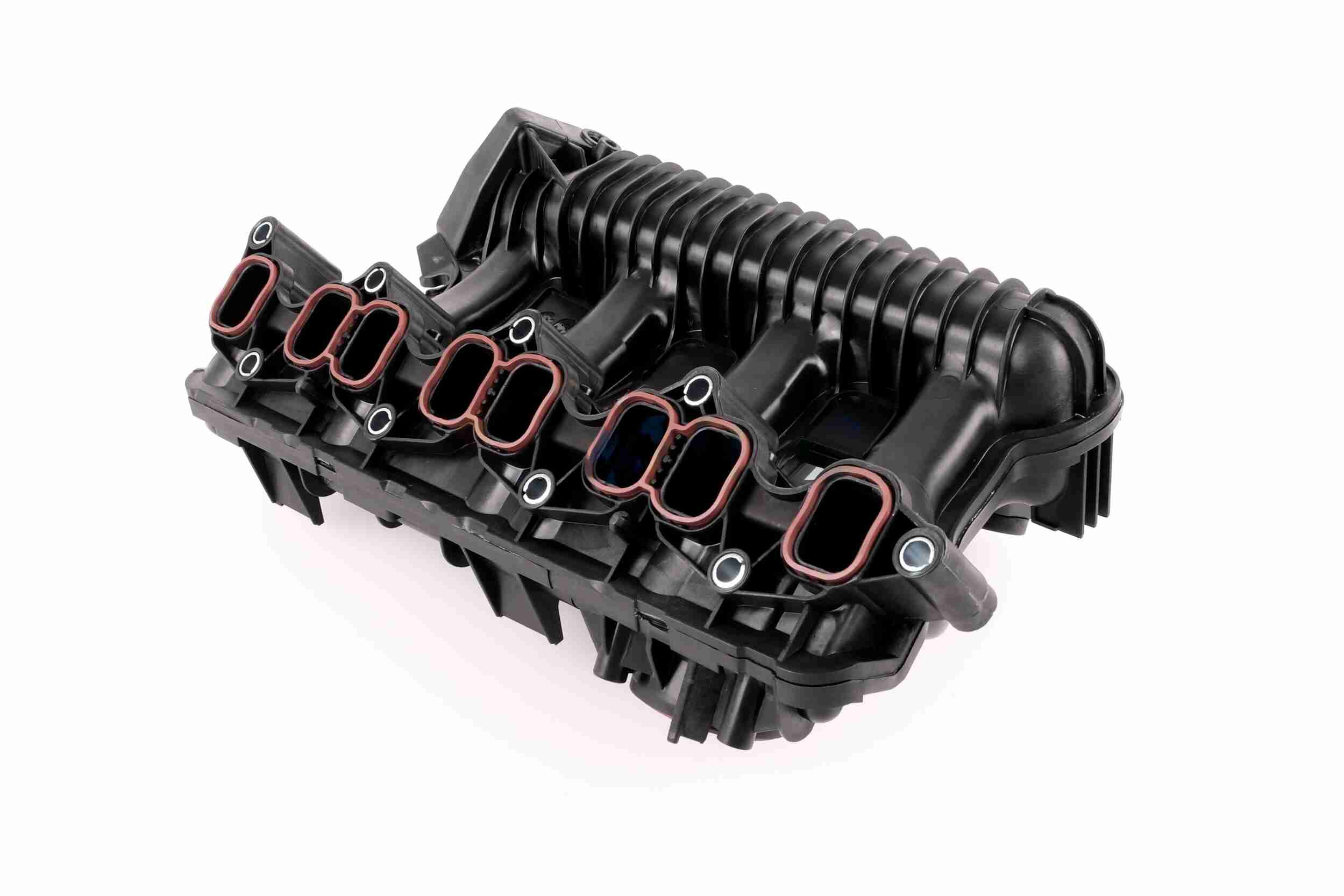 Engine Mounting - V10-1631 VAICO