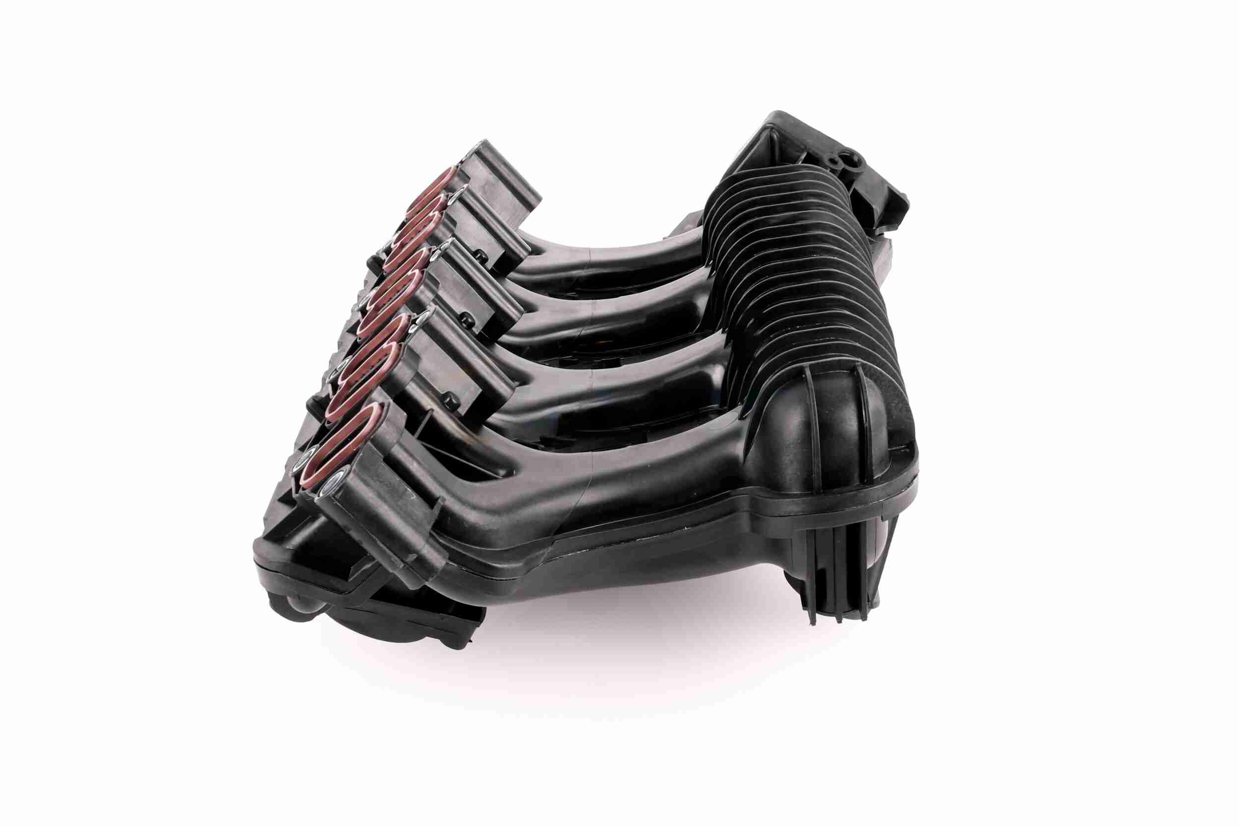 Engine Mounting - V10-1631 VAICO