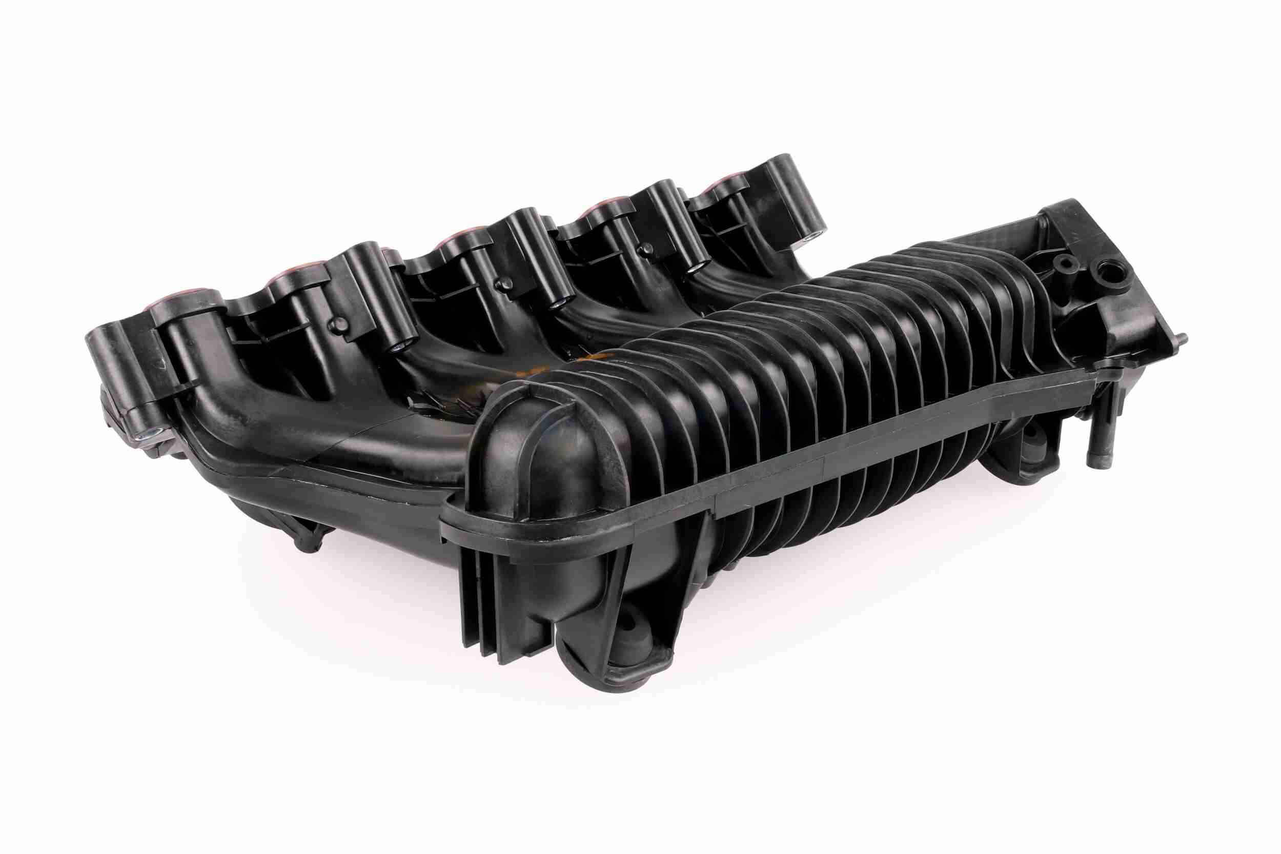 Engine Mounting - V10-1631 VAICO