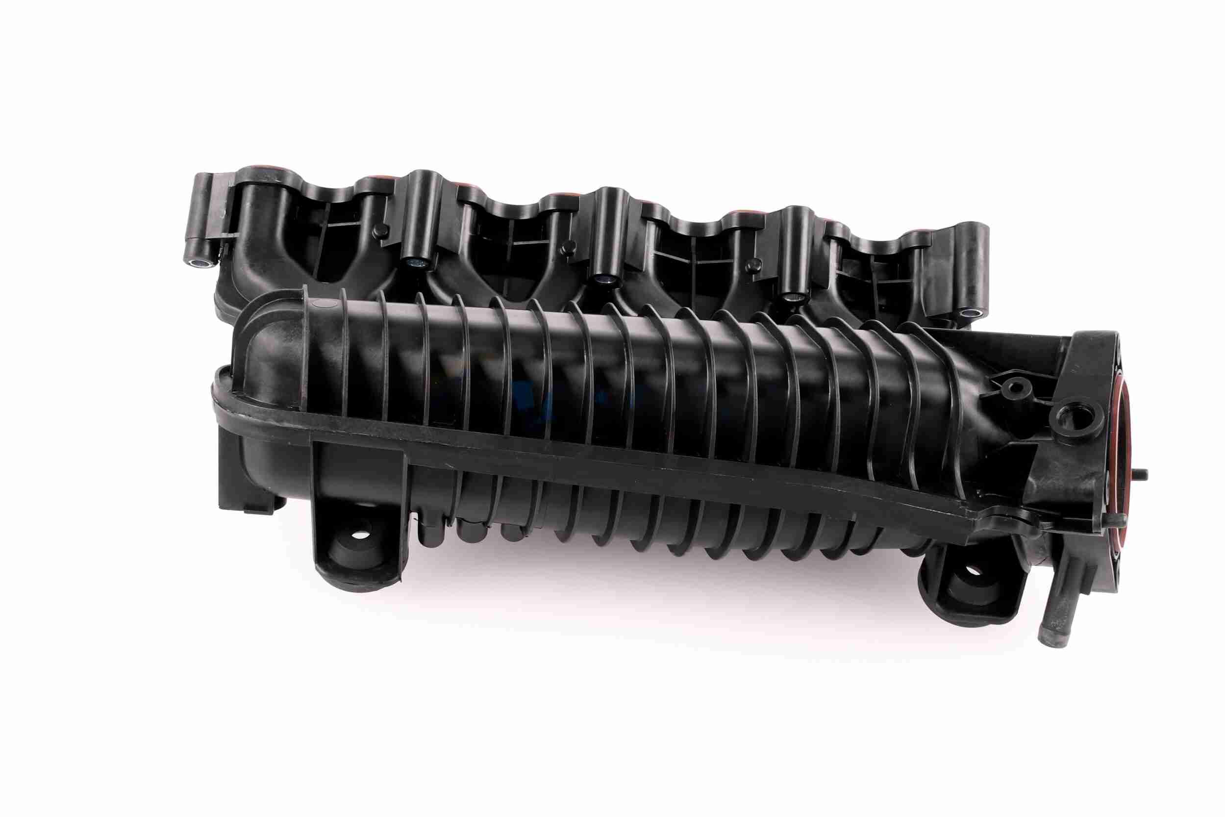 Engine Mounting - V10-1631 VAICO