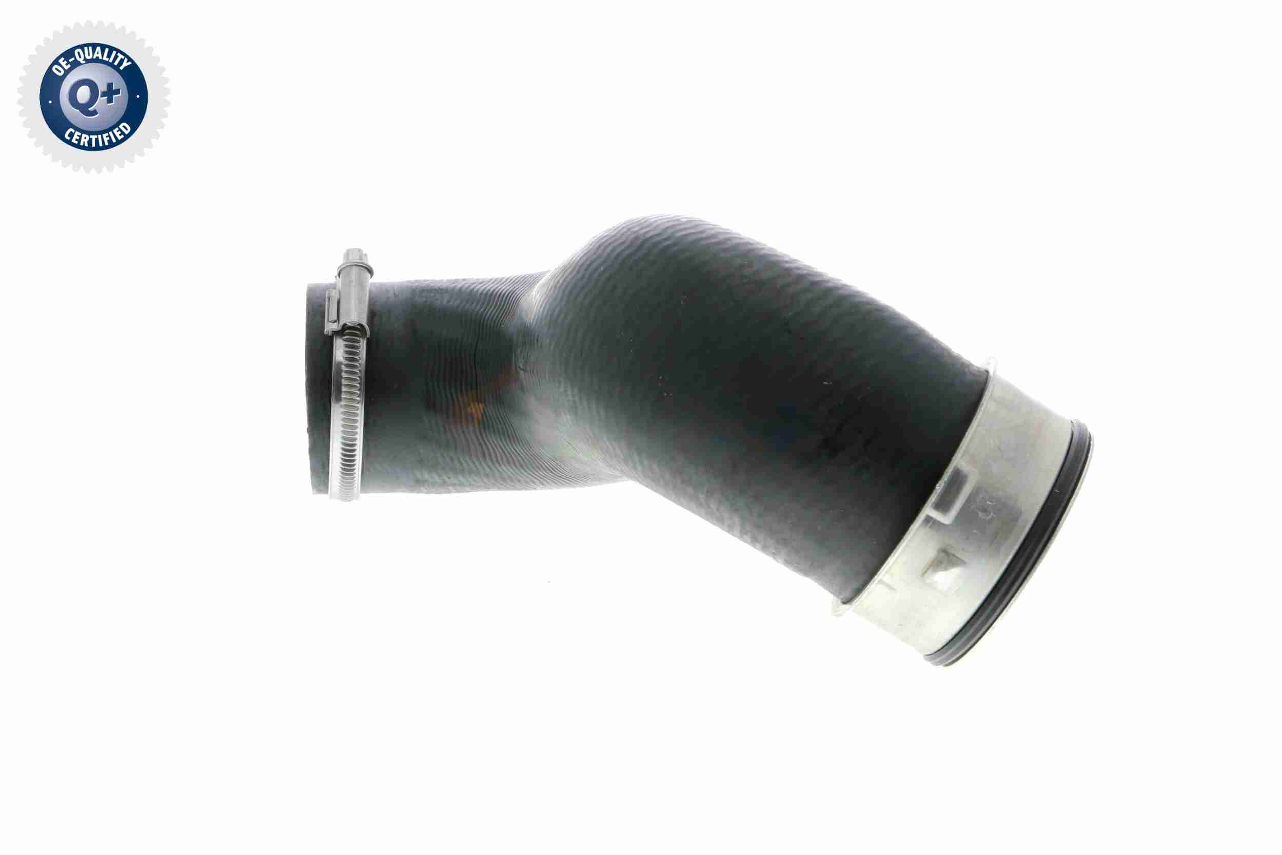 Boccola, Asta selezione /innesto - V10-6221 VAICO