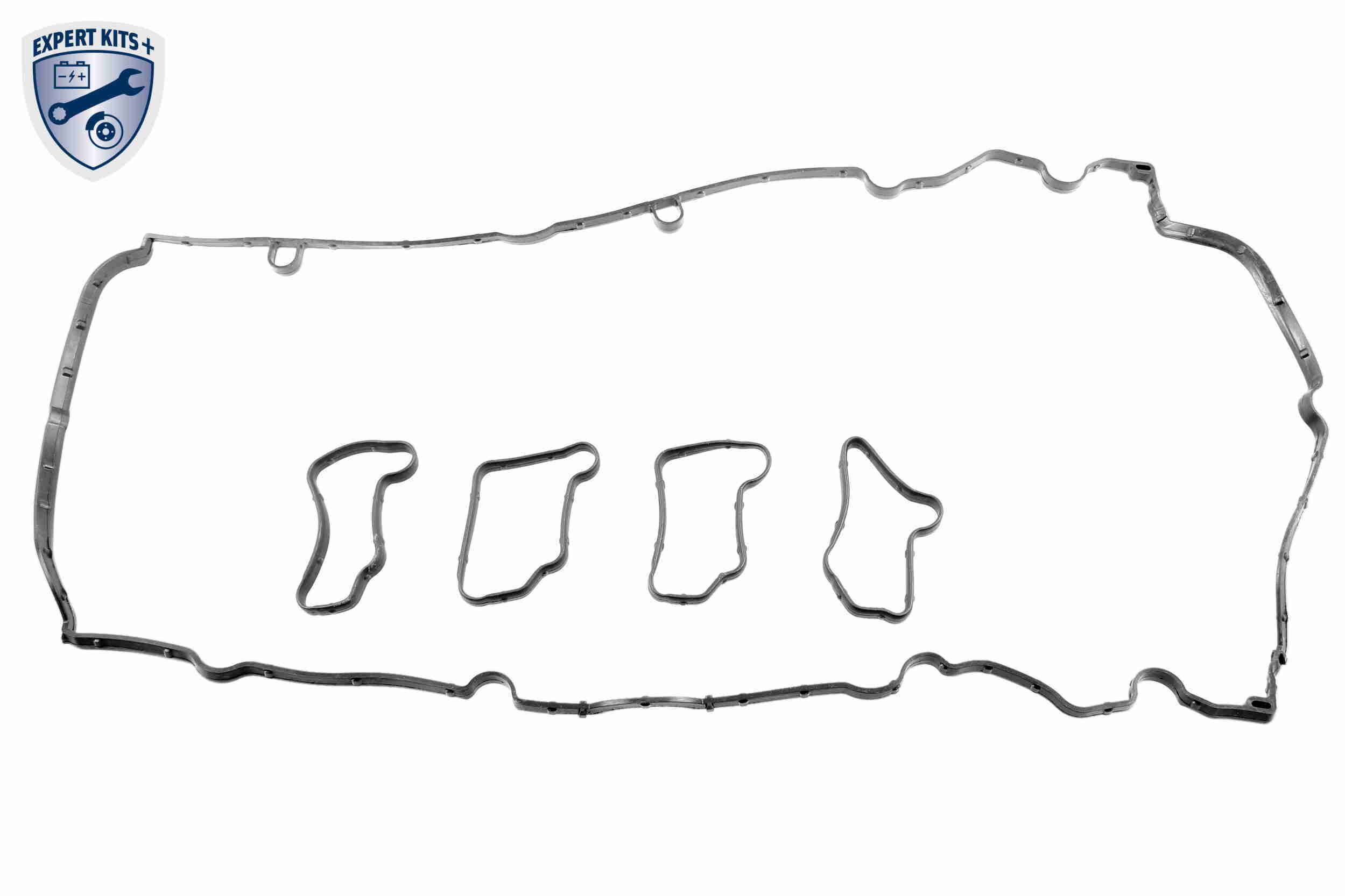 Timing Chain Kit - V30-10016 VAICO