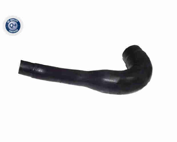 Clamp, silencer - V24-0378 VAICO