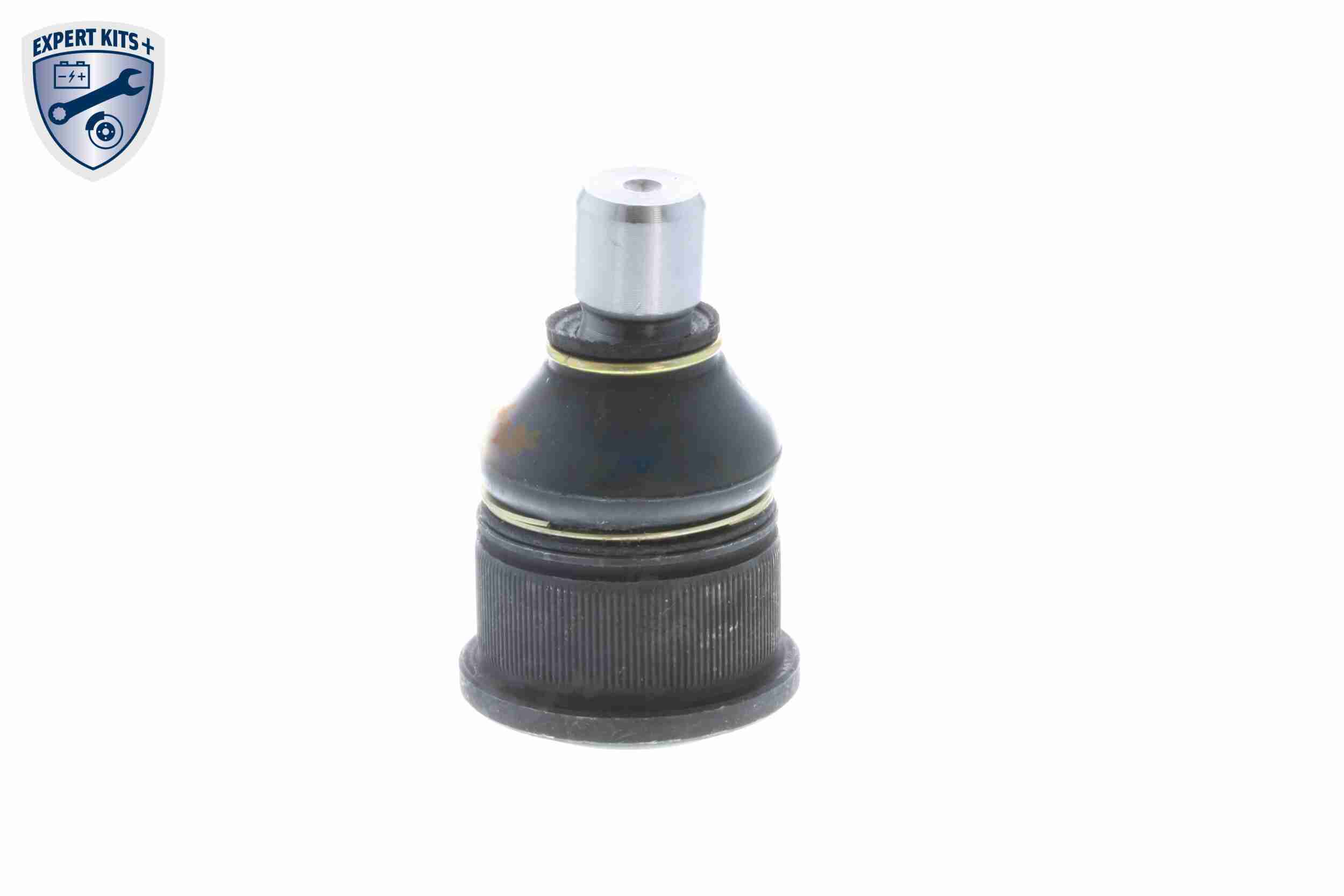 Engine Mounting - V10-1631 VAICO