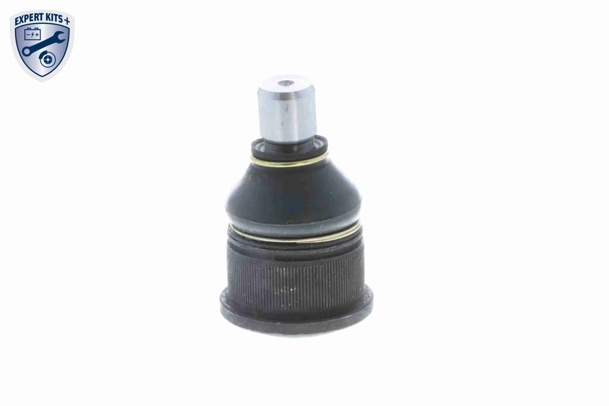 Engine Mounting - V10-1631 VAICO
