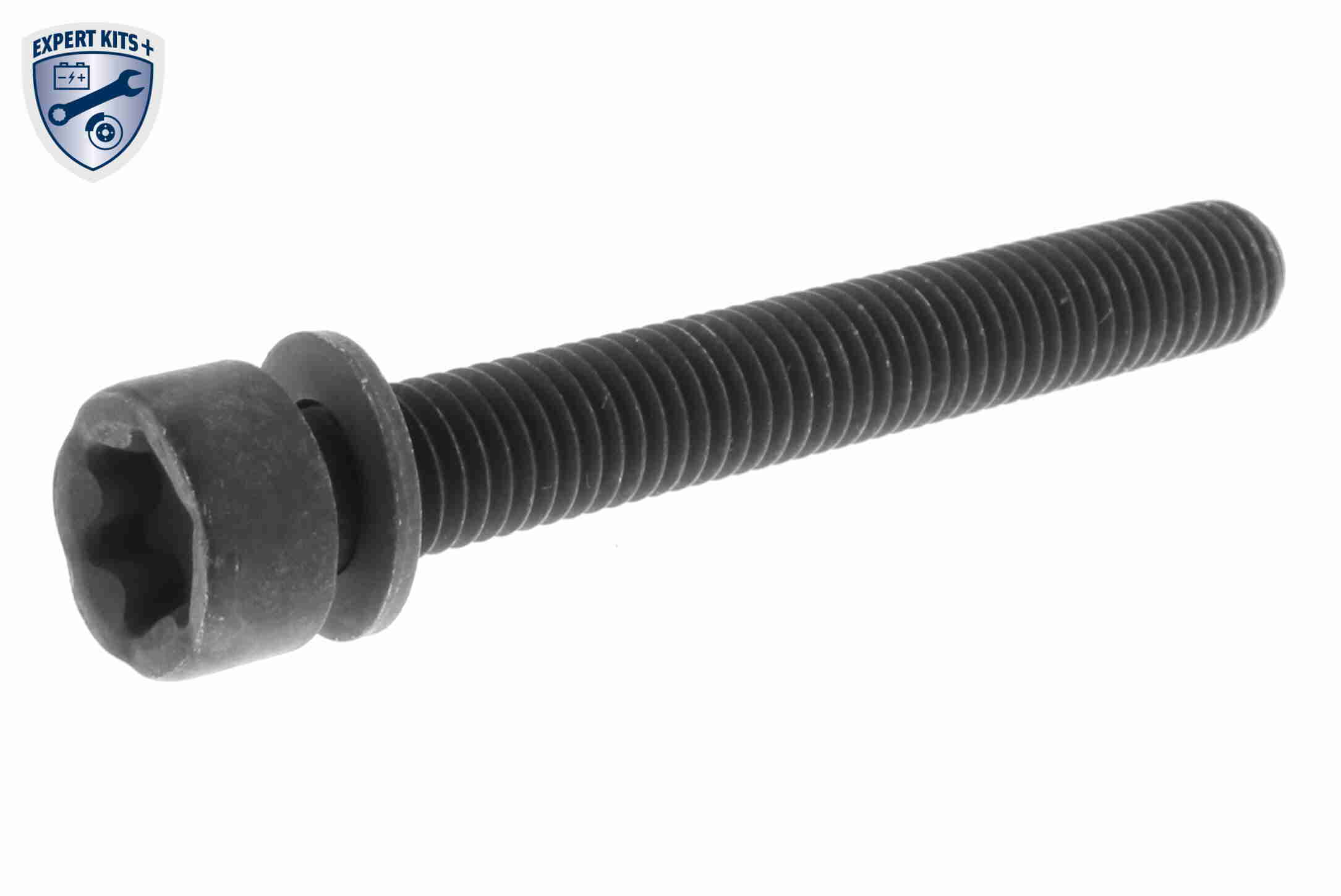 Hose, crankcase breather - V50-0064 VAICO