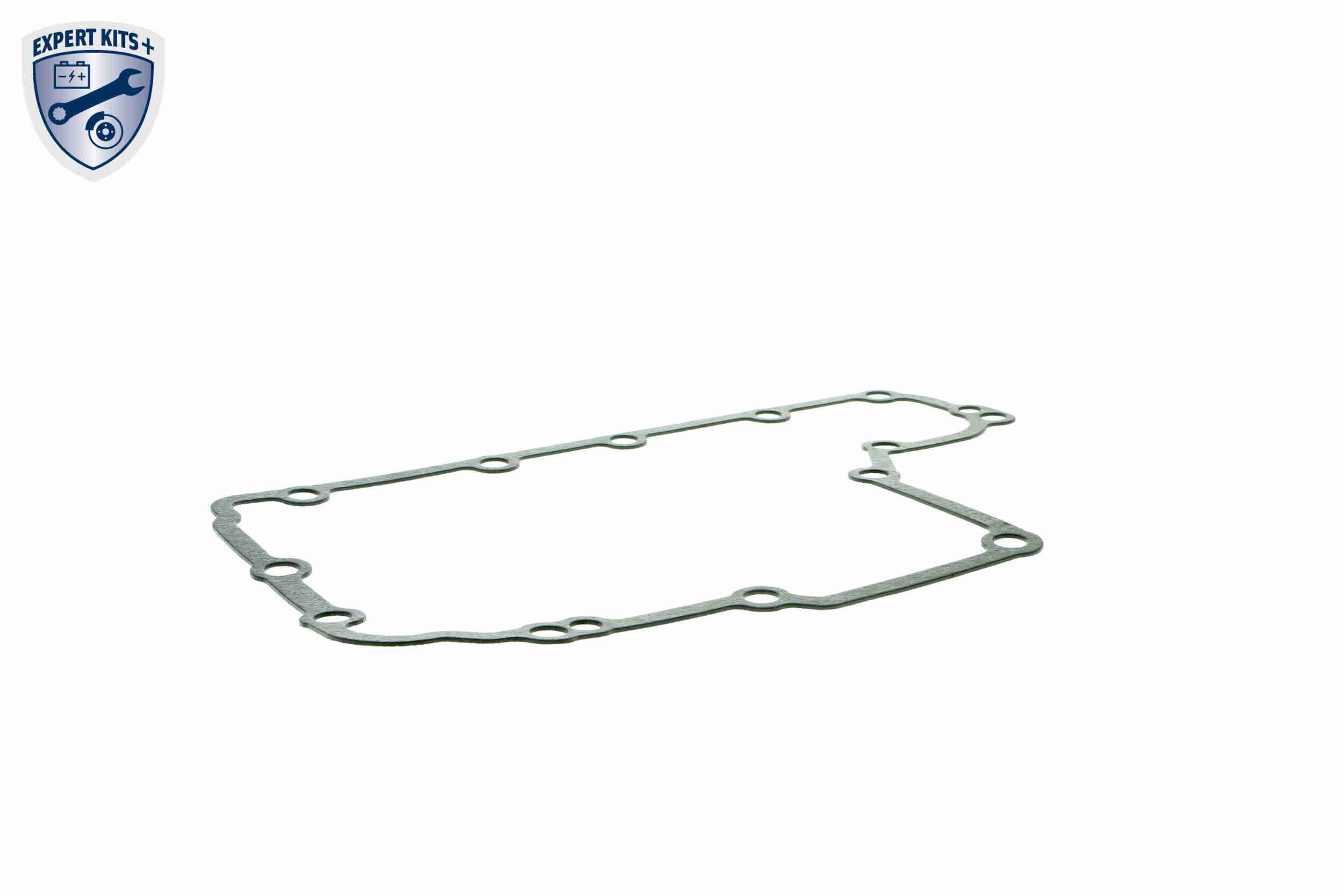 Guarnizione, Coppa olio-Cambio automatico - V40-0896 VAICO