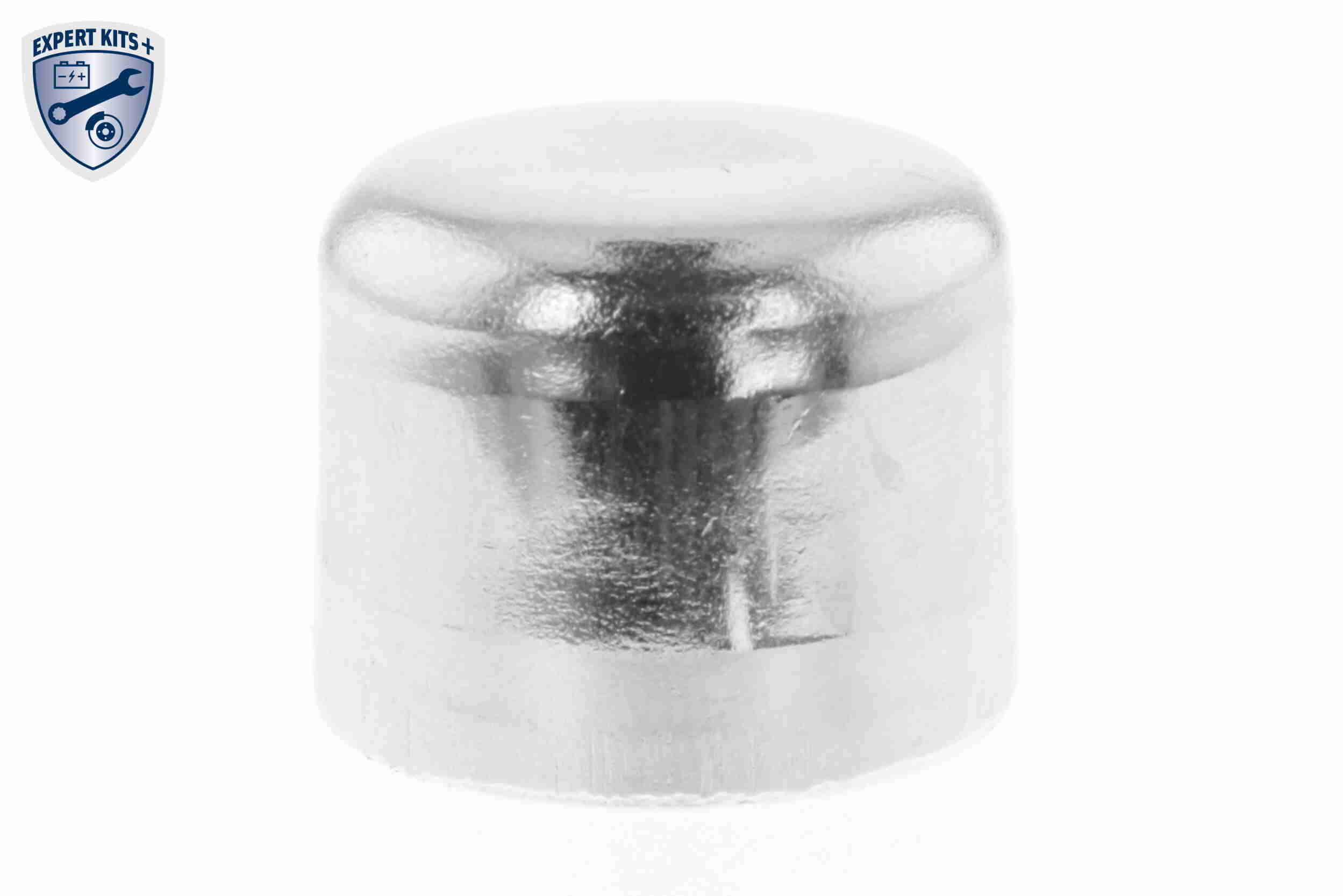 Charger Air Hose - V10-2859 VAICO