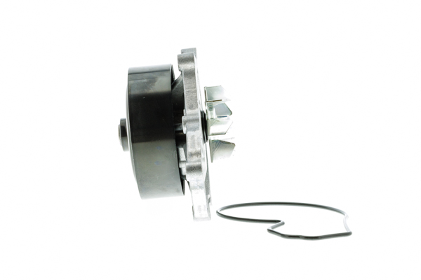 vandens siurblys - WPH-053 AISIN