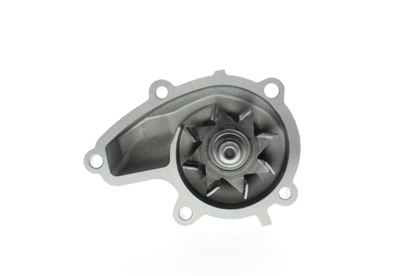 Water Pump - WPN-009 AISIN