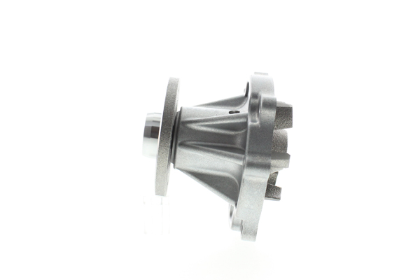 Water Pump - WPN-013 AISIN