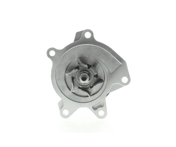 Water Pump - WPN-117 AISIN