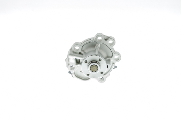 Water Pump - WPS-055V AISIN