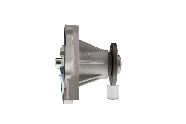Water Pump - WPT-003V AISIN