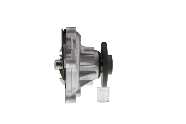 Water Pump - WPT-117 AISIN