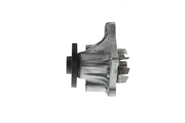 Water Pump - WPTS-008 AISIN