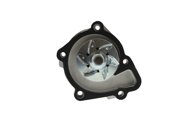 Pompa acqua - WPY-048 AISIN