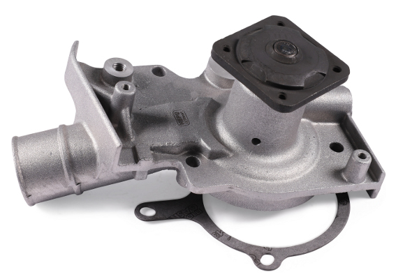 Water Pump - P216 HEPU