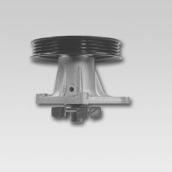 Pompa acqua - P567 HEPU