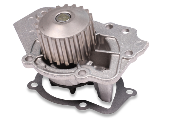 Water Pump - P816 HEPU