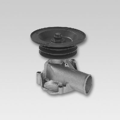 Pompa acqua - P316 HEPU