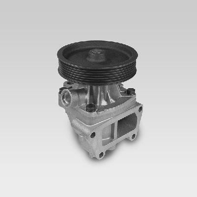 Pompa acqua - P559 HEPU