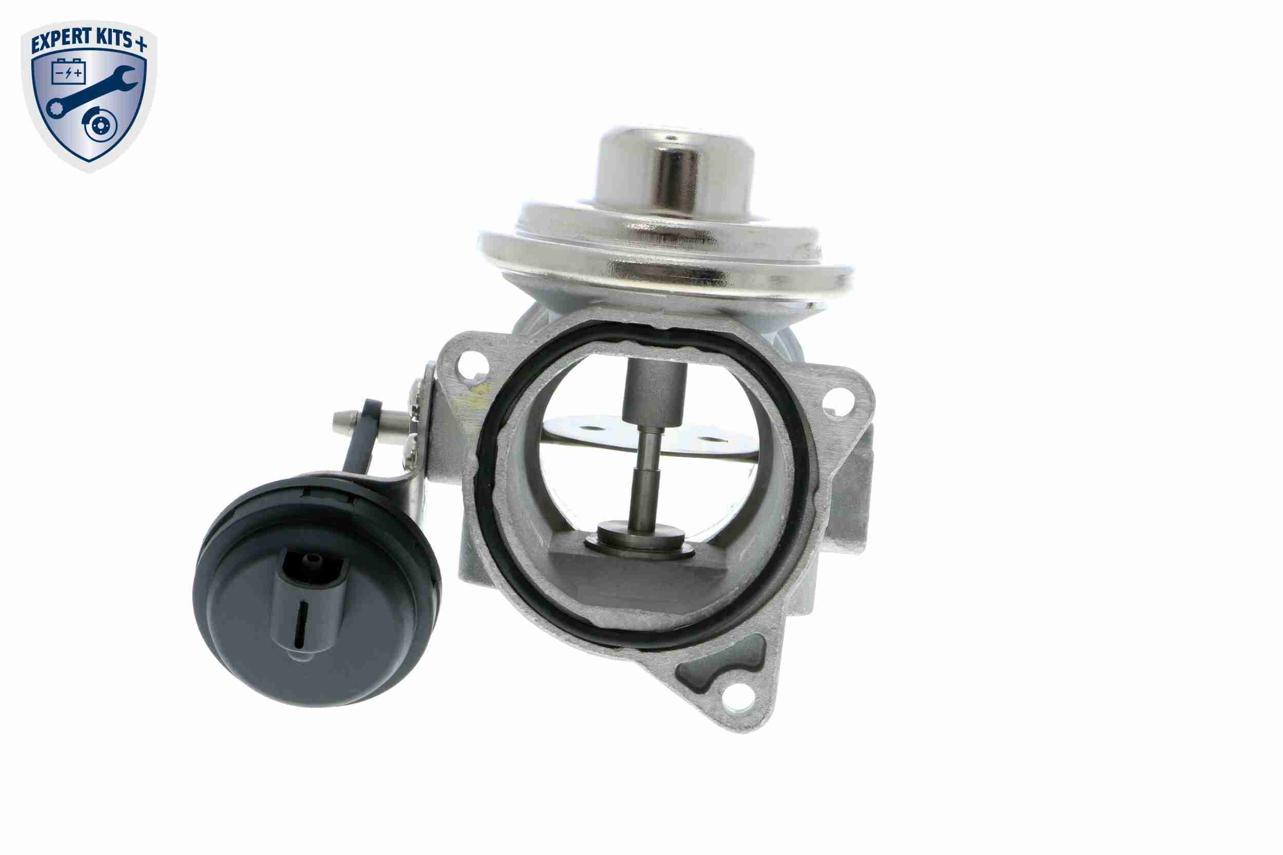 EGR Valve - V10-63-0020 VEMO