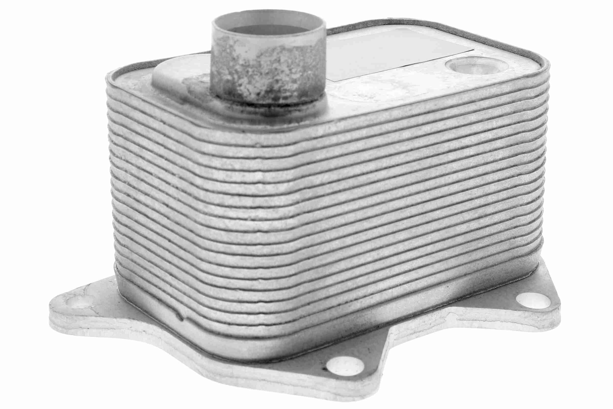 Radiatore olio, Olio motore - V15-60-0015 VEMO