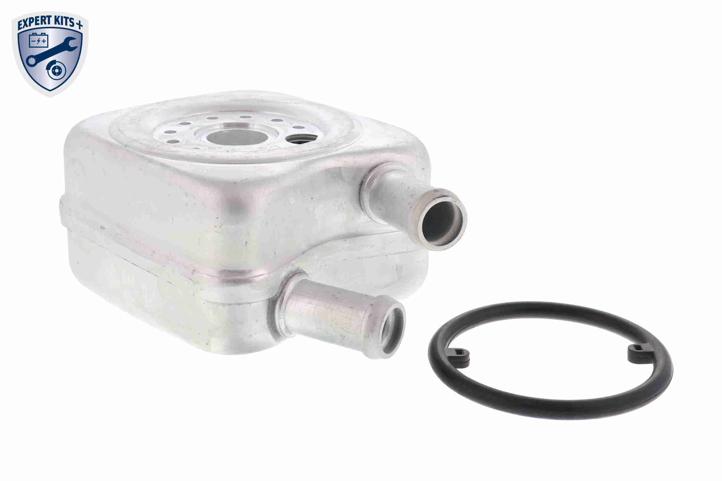 Radiatore olio, Olio motore - V15-60-6010 VEMO