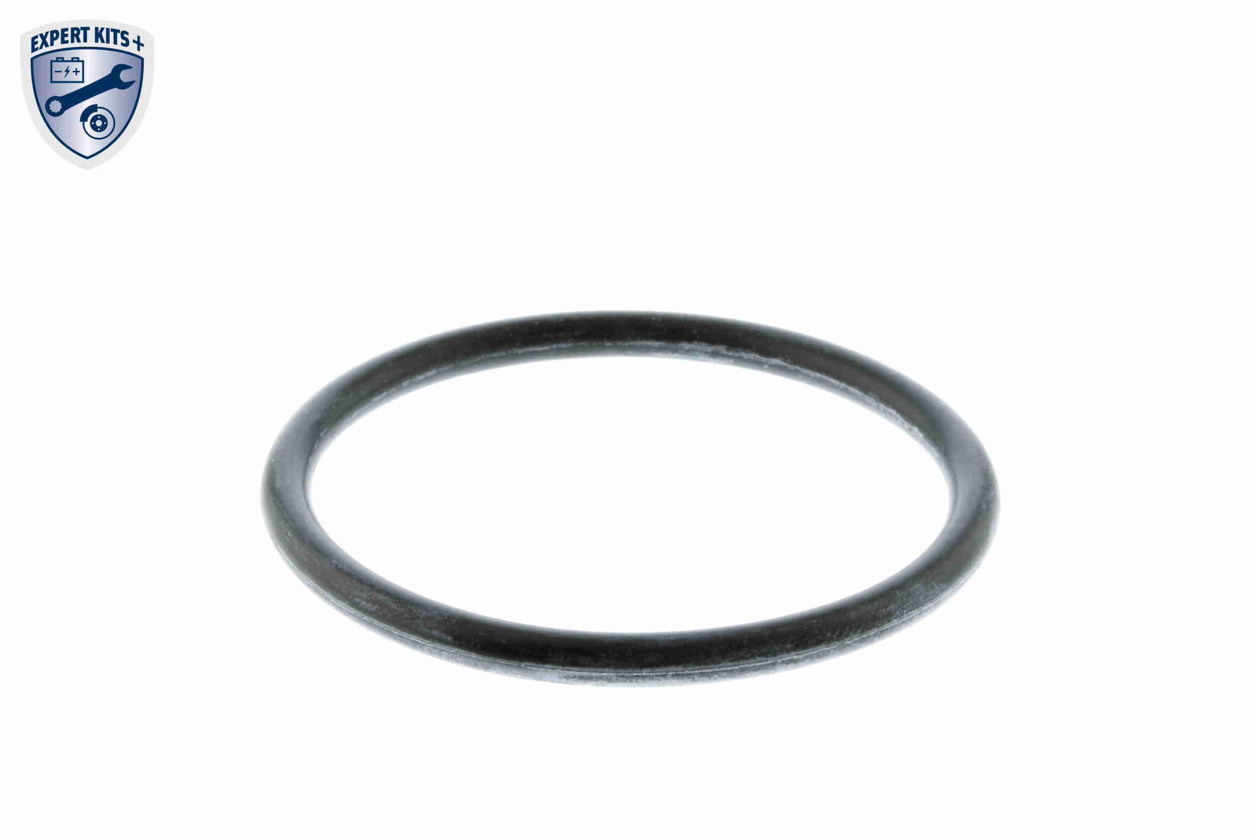 Water Pump, window cleaning - V46-08-0010 VEMO