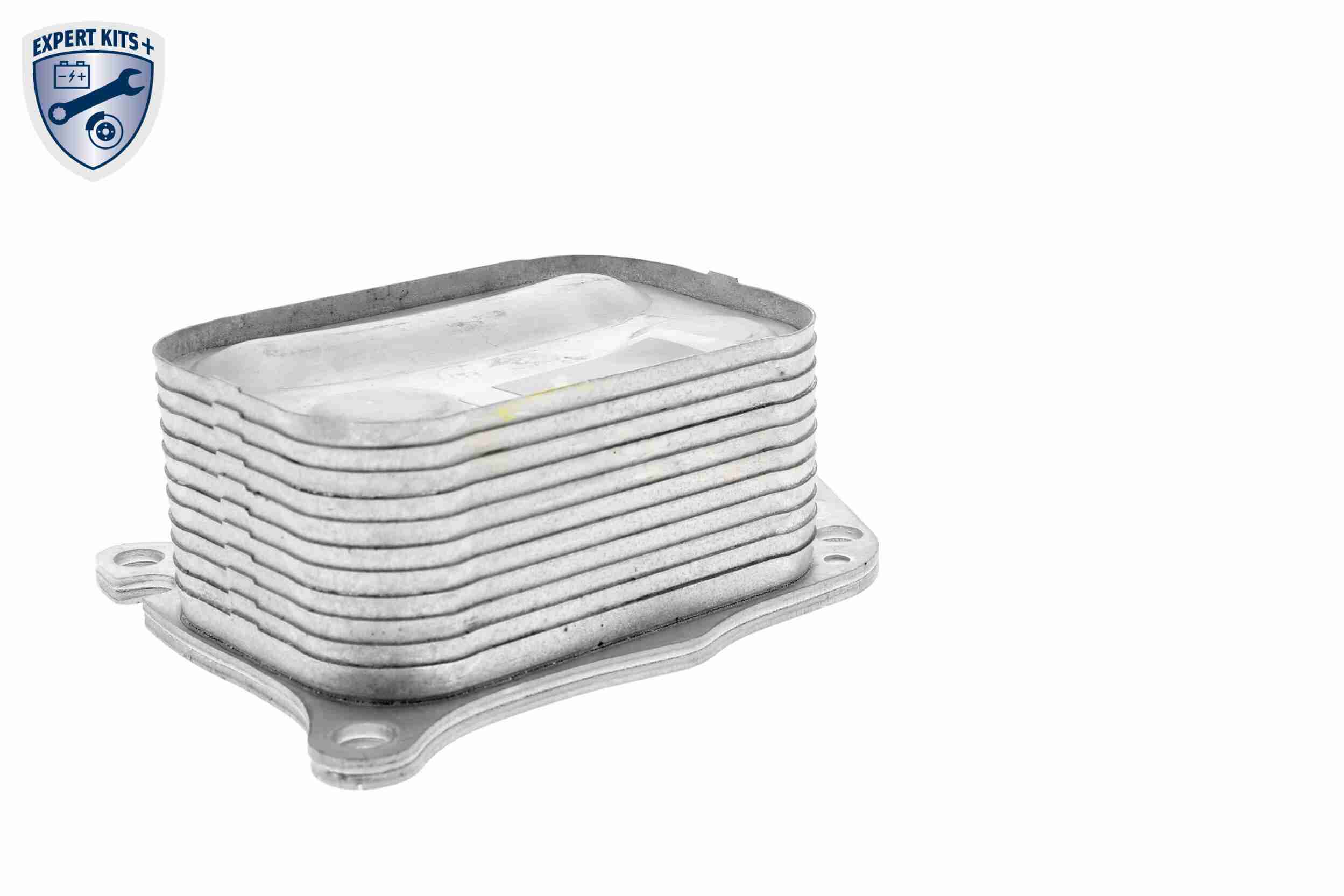 Oil Cooler, engine oil - V42-60-0008 VEMO