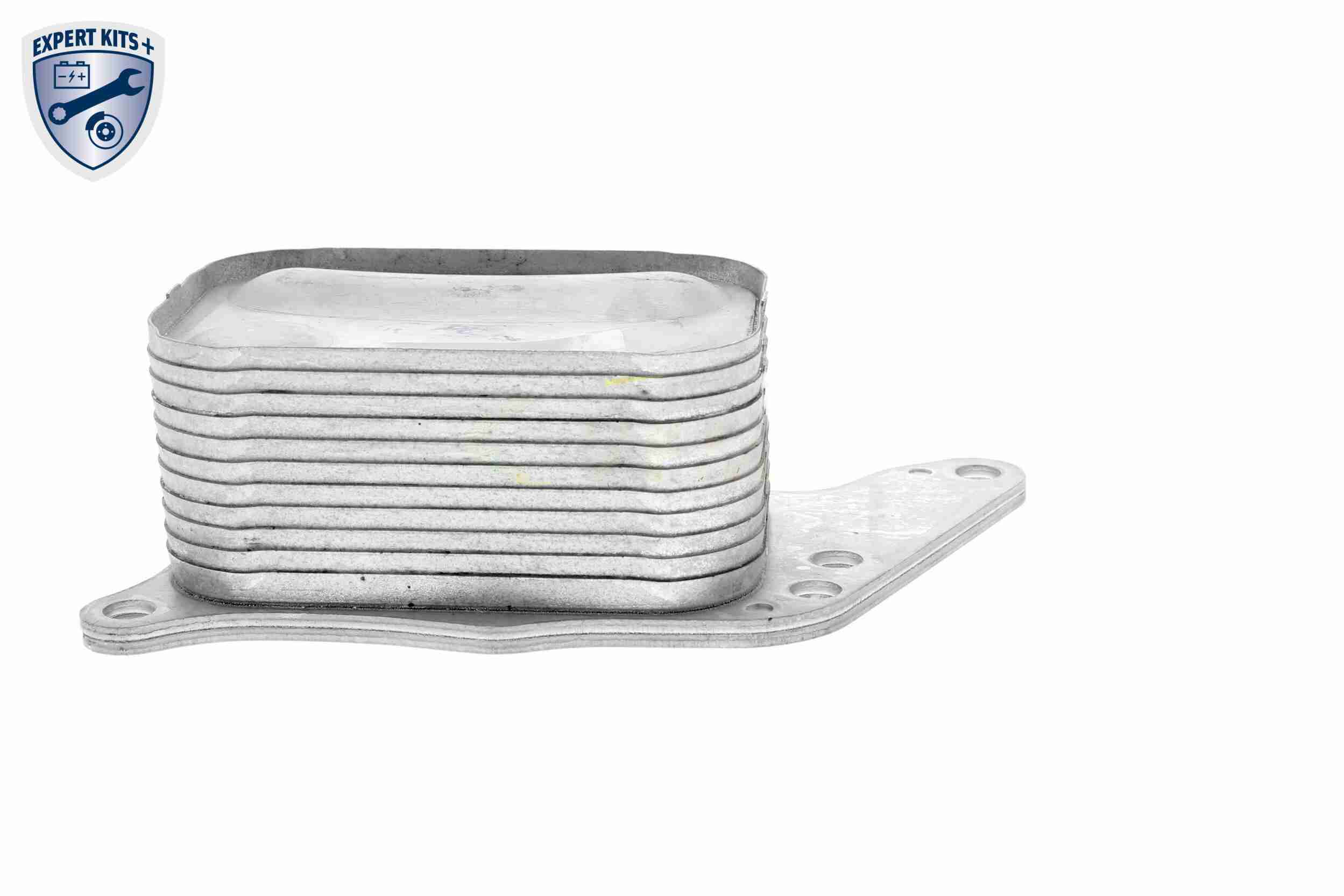 Oil Cooler, engine oil - V42-60-0008 VEMO