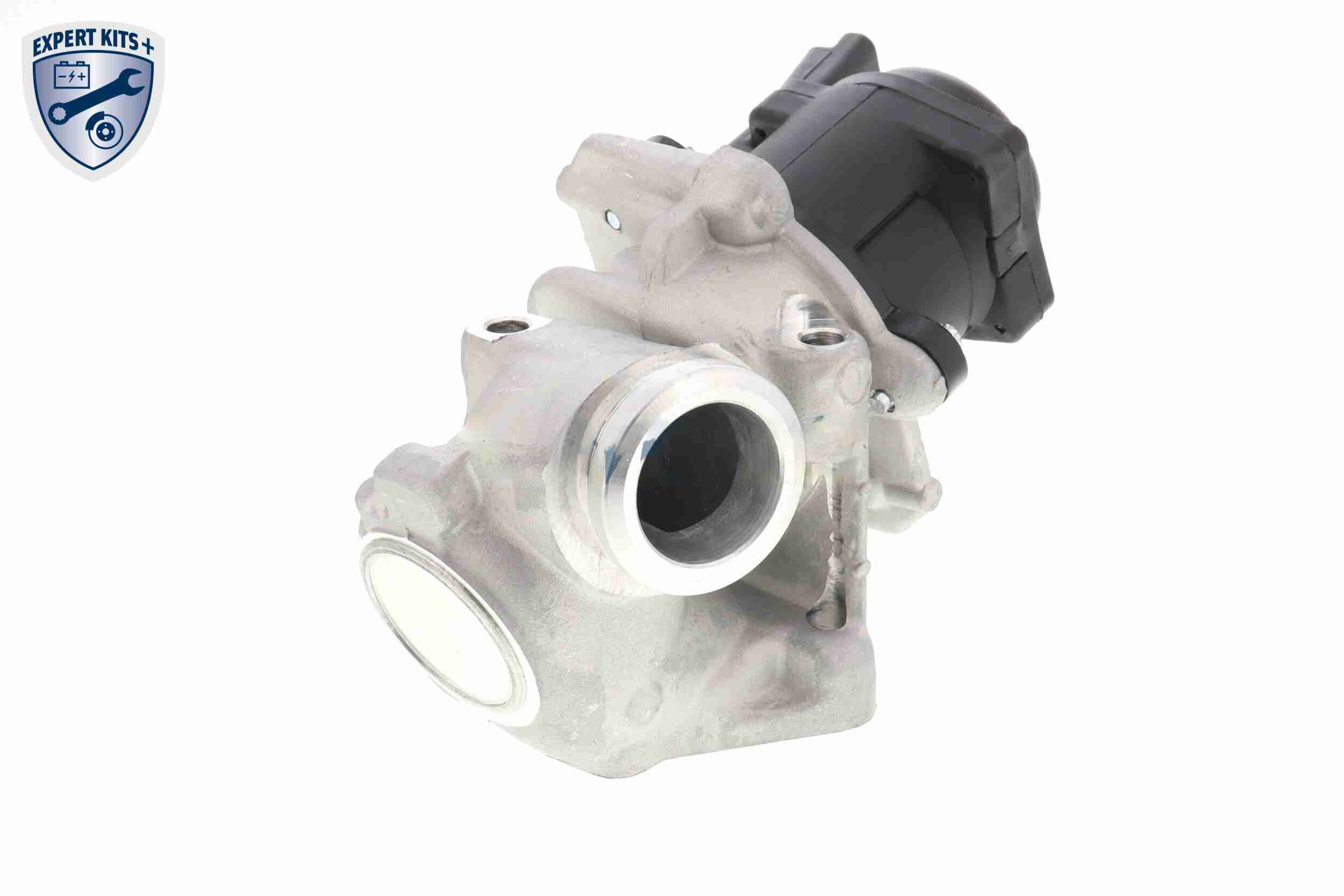 EGR Valve - V42-63-0002 VEMO