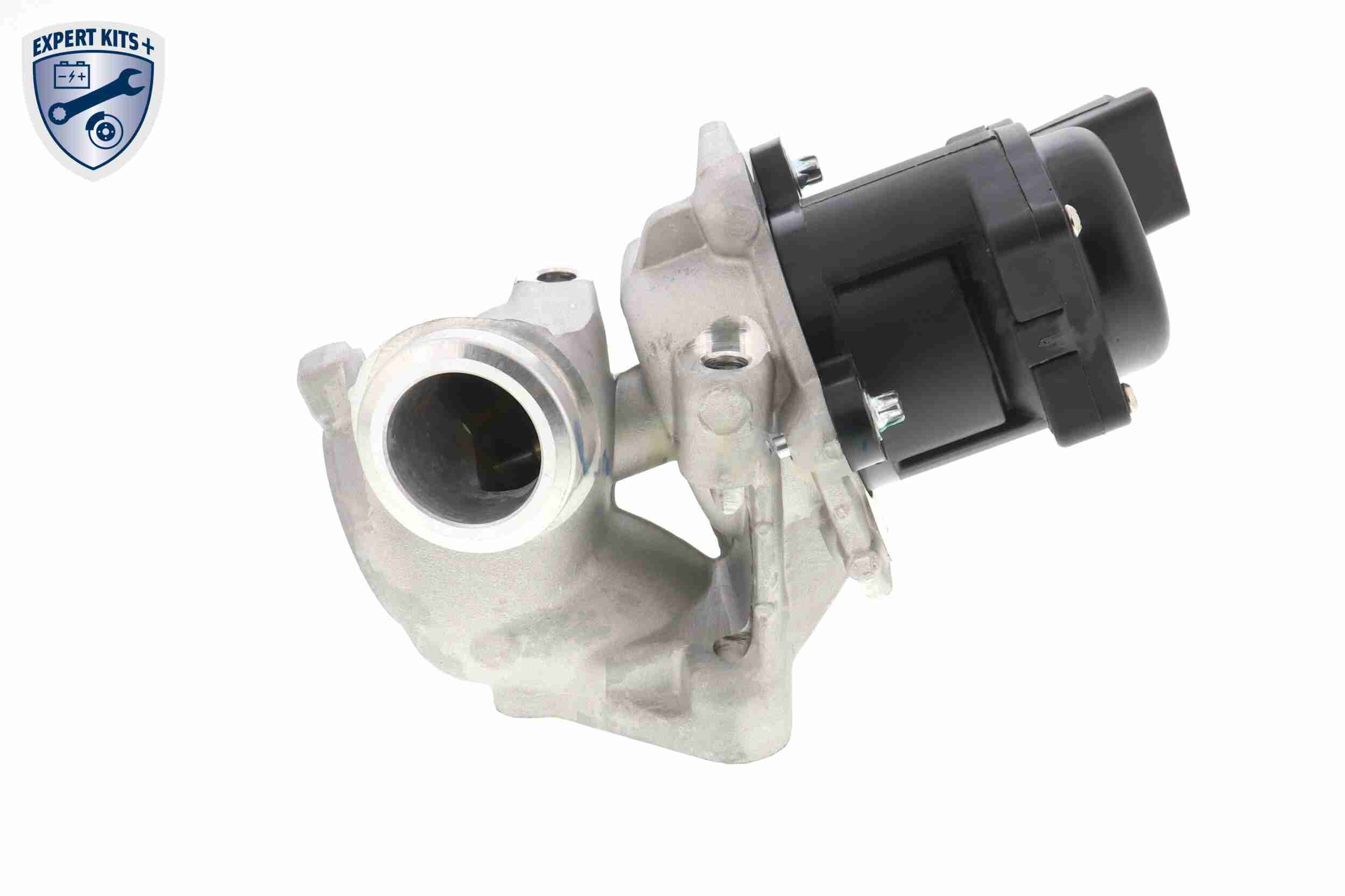 EGR Valve - V42-63-0002 VEMO