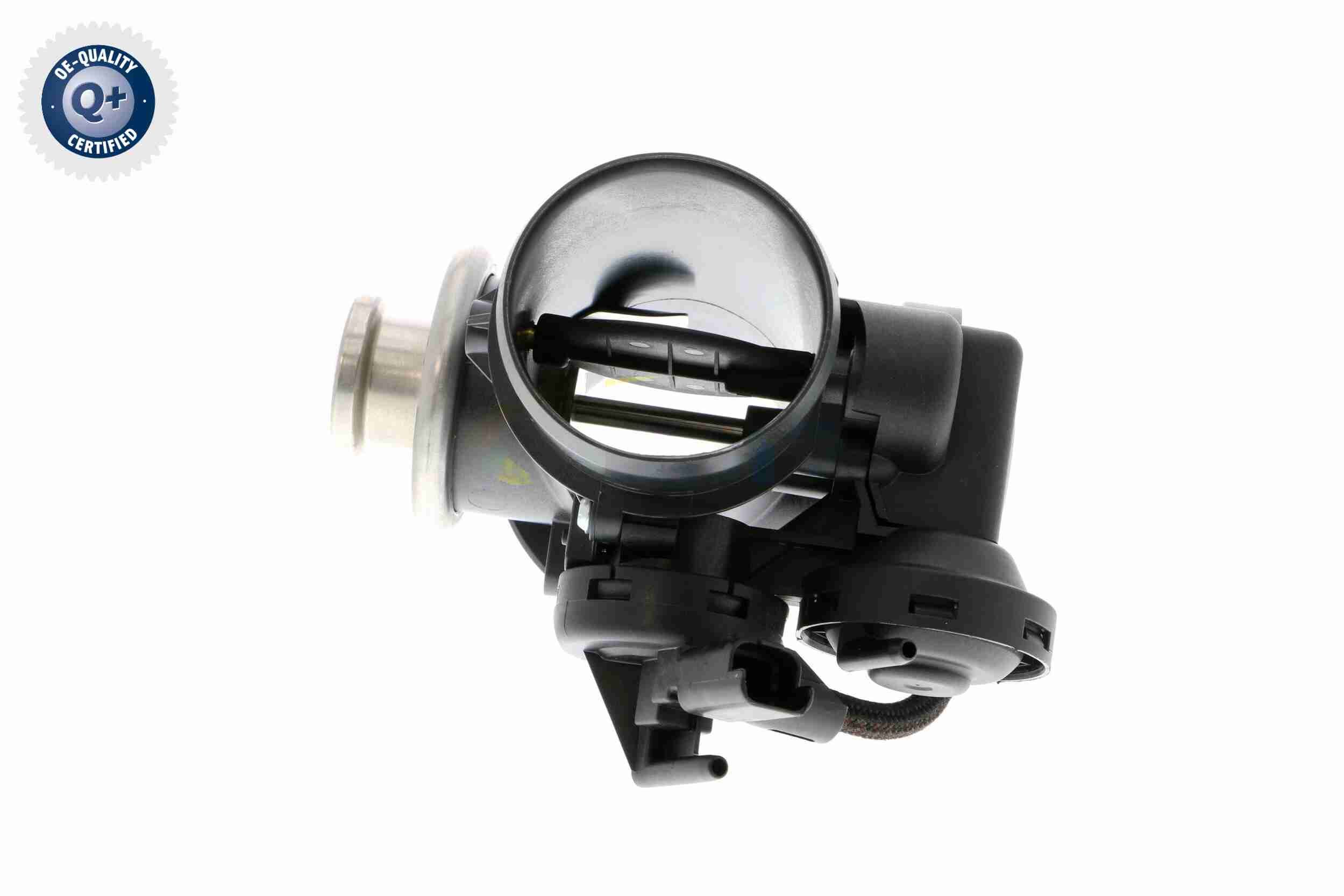Oil Cooler, engine oil - V42-60-0008 VEMO