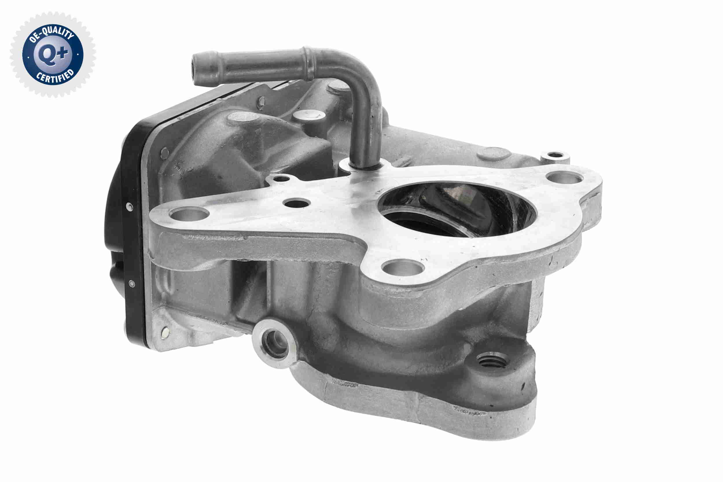 Sensor, wheel speed - V10-72-7800 VEMO