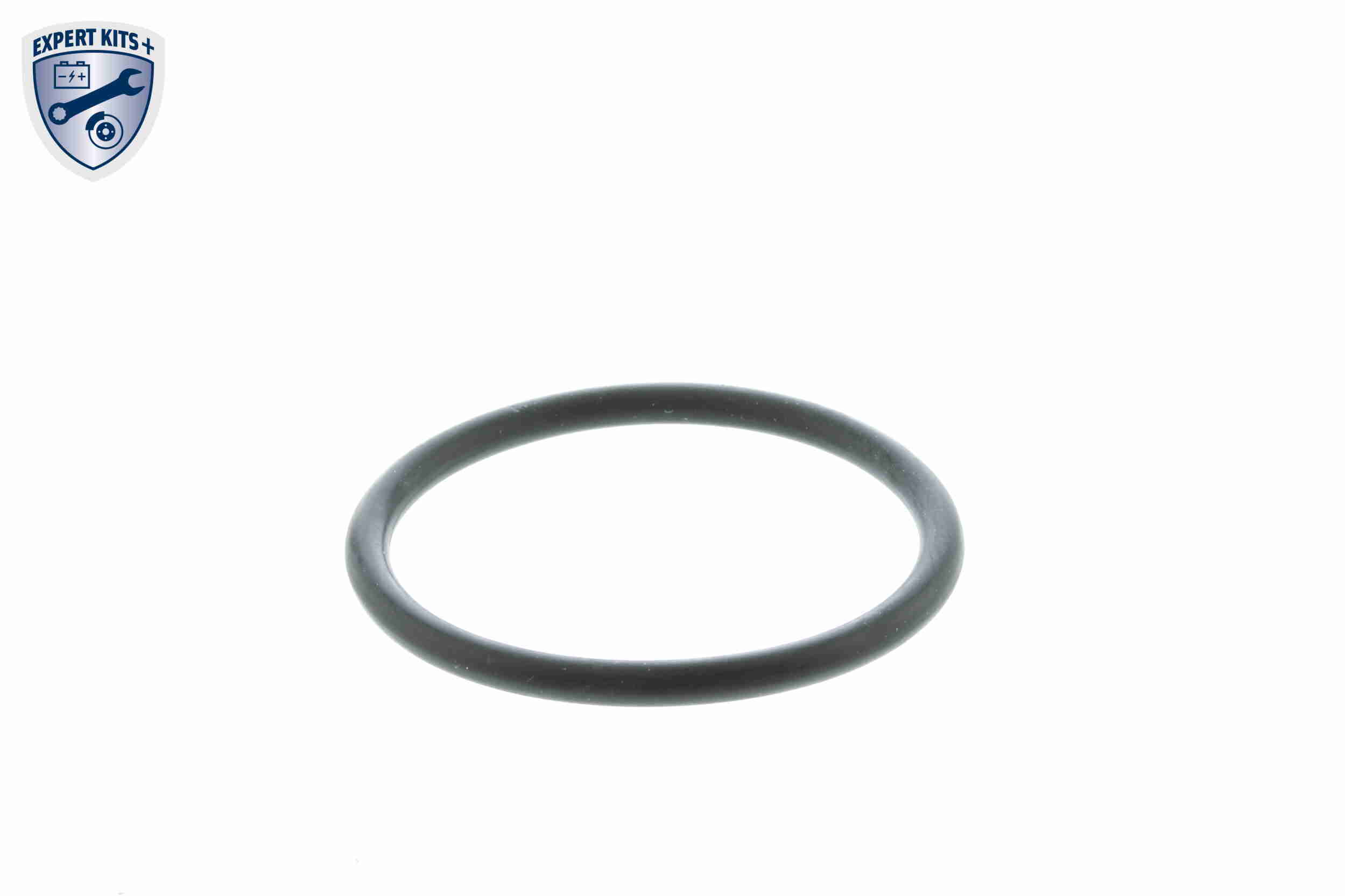 EGR Valve - V42-63-0002 VEMO