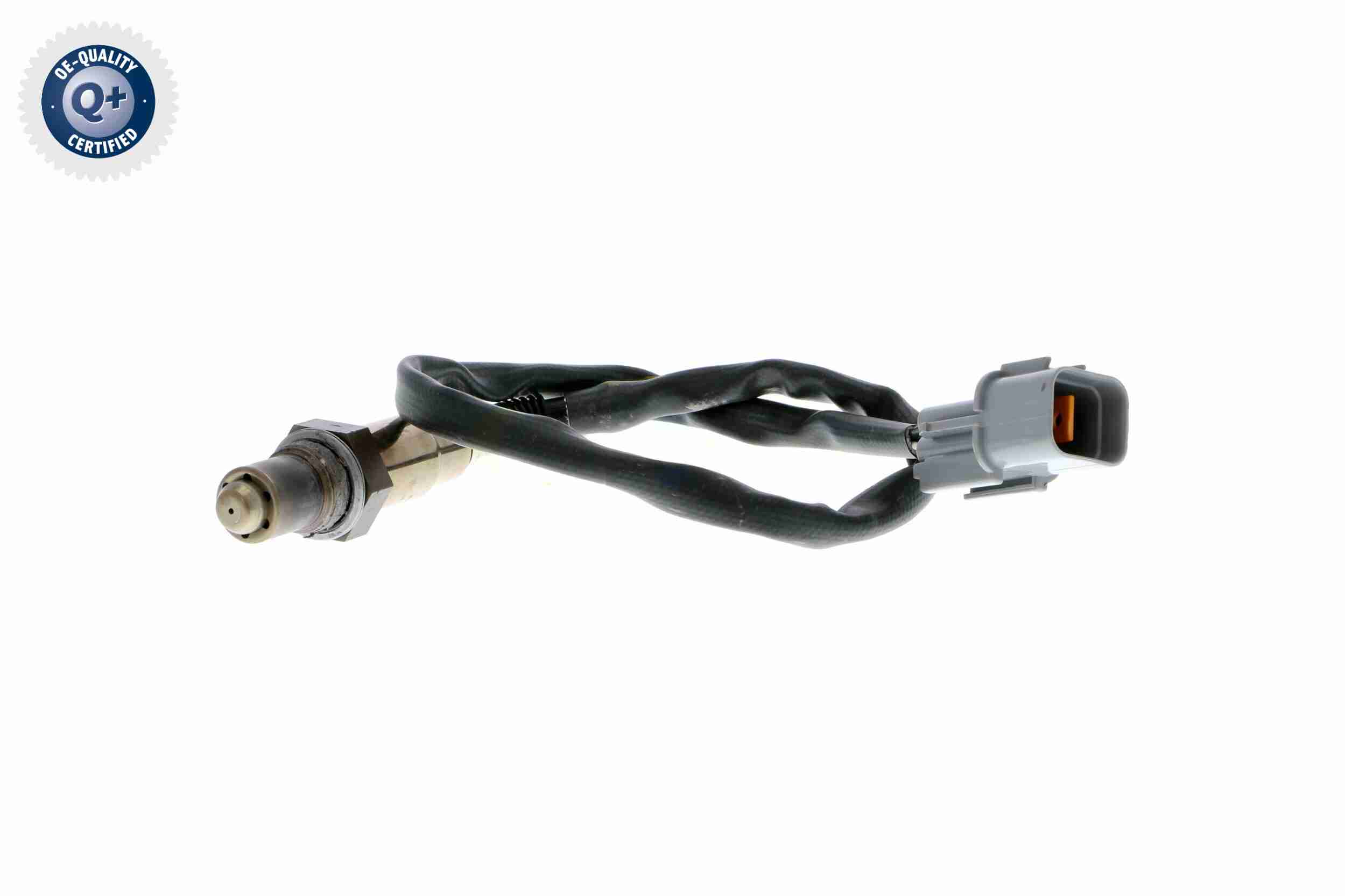 Rotor, distributor - V50-70-0004 VEMO