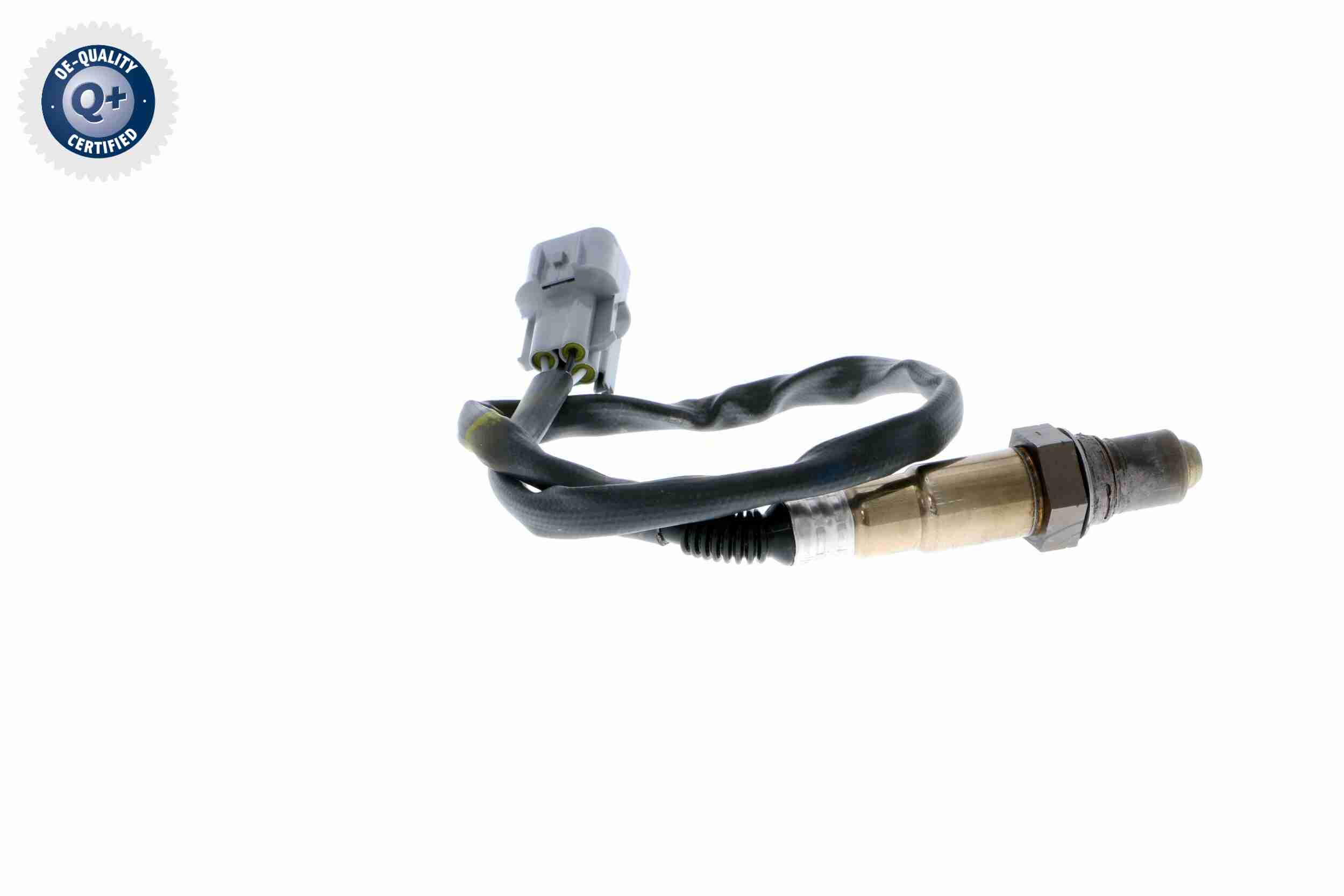 Rotor, distributor - V50-70-0004 VEMO