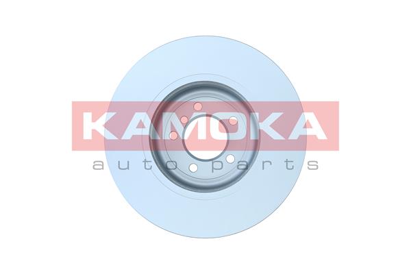Brake Disc - 103102 KAMOKA